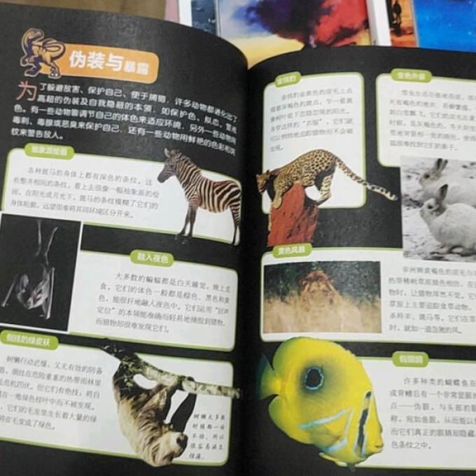 浙江教育出版社少儿读物
