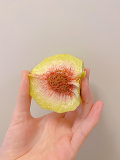 冬天的桃子——简称冬（冻）桃