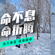 新手小白滑雪攻略！单板 还是 双板？如何选择装备？