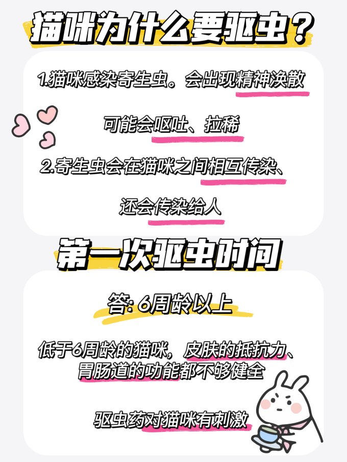 猫咪驱虫