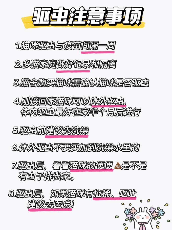猫咪驱虫