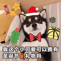 奇幻的圣诞夜🎄，想要送你一份梦幻的宫崎骏礼物🎁，颜值炸裂，真的爱不释手！