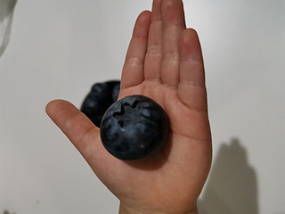 超！大！颗！蓝莓