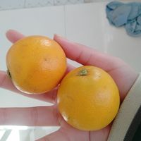 冰糖橙真的超级好吃，酸甜可口！！