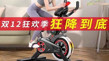 动感单车家用健身器小型自行车减肥专业房室内脚踏运动静音锻炼机