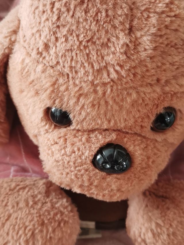 可爱棕色小狗热水袋