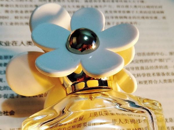 香水推荐|清新的小雏菊