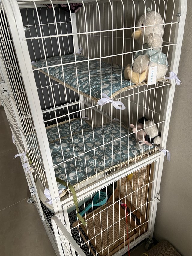 养宠必备—自由空间猫笼子
