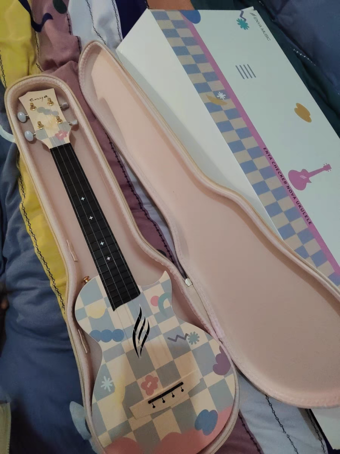 恩雅音乐西洋弦乐器