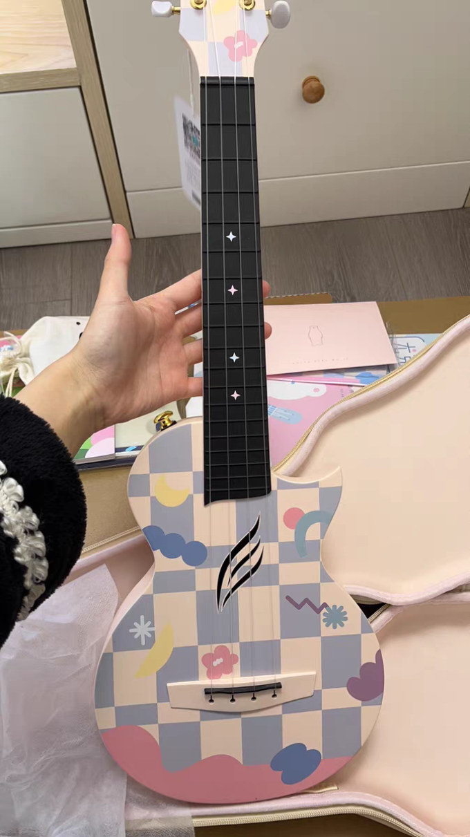 恩雅音乐西洋弦乐器