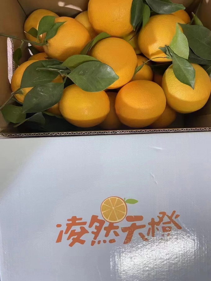 橙子