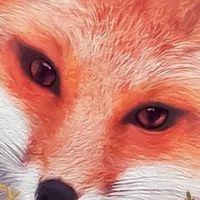 完美日记赤狐盘野蛮小狐狸