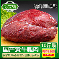10斤清真鲜牛肉新鲜国产原切牛后腿肉鲁西散养黄牛健身牛腱子商用
