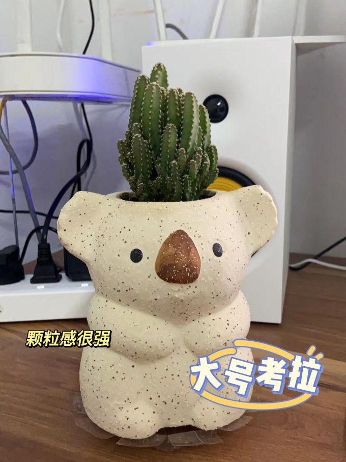花盆