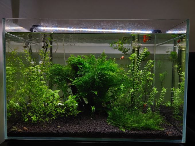 魔点水族设备