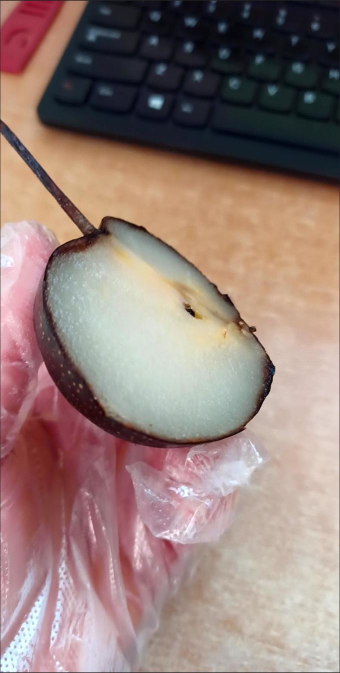新鲜水果