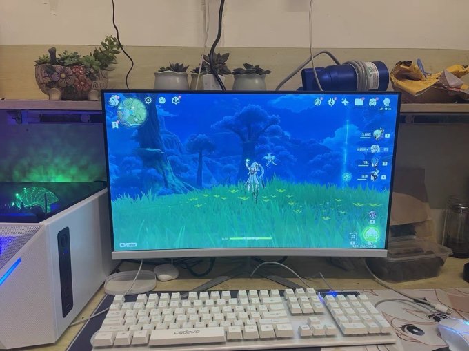 灵蛇显示器