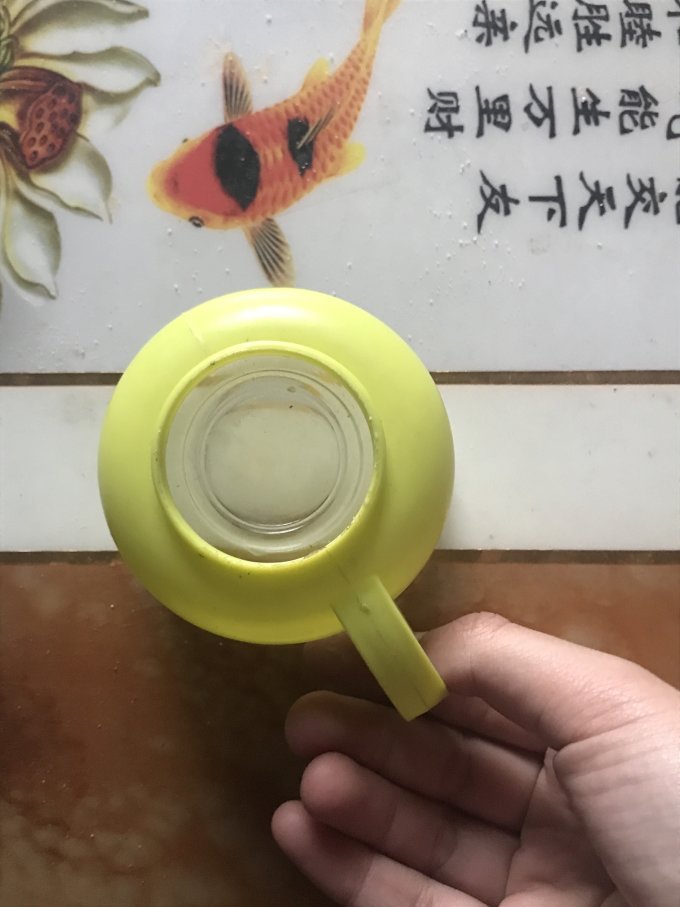 丽贝德水具酒具