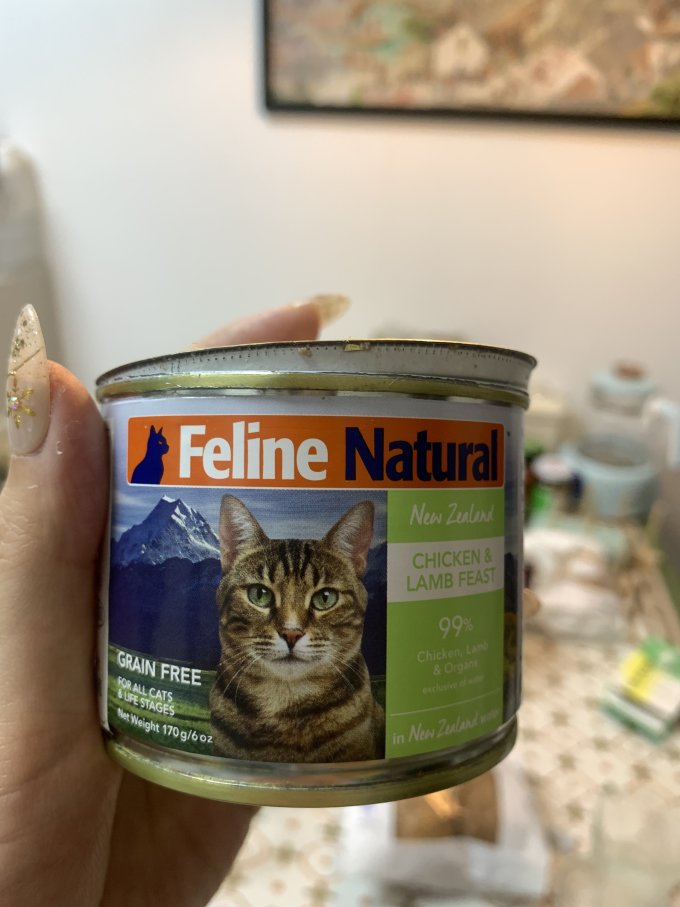 宠源新猫咪湿粮/罐头