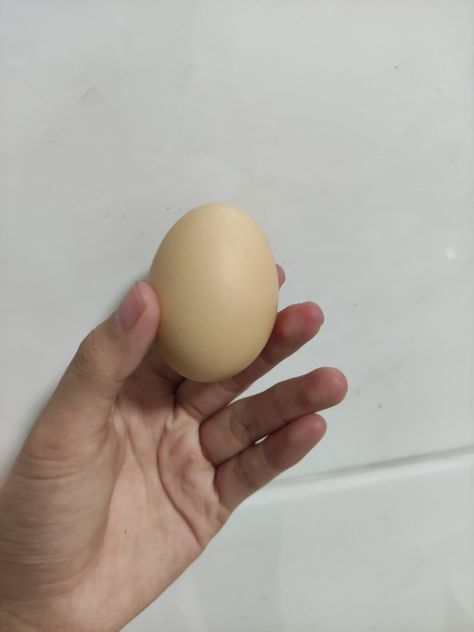 乡公馆蛋类