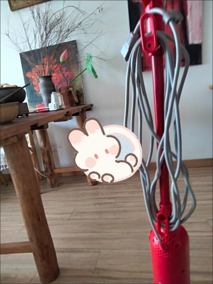 卓力蒸汽/电动拖把