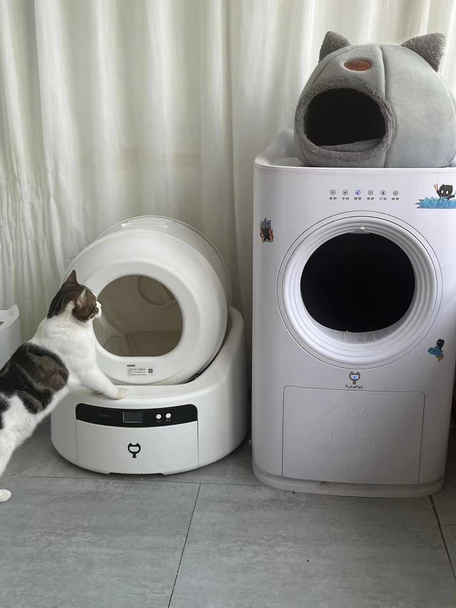 三位数入手的猫砂盆拔草