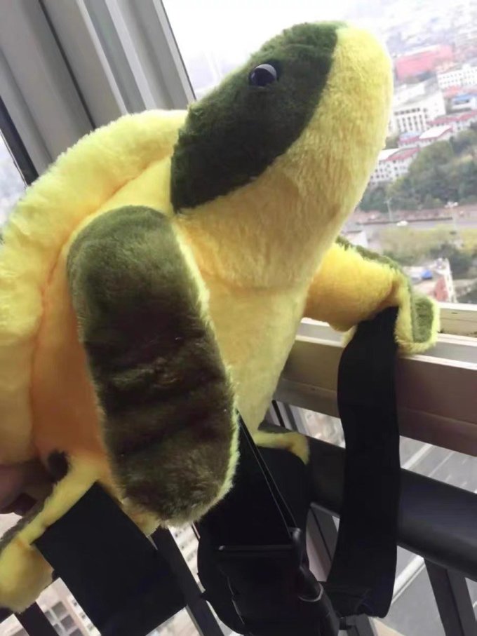 沸鱼运动护具