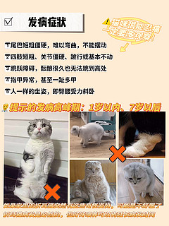 折耳猫日常养护｜希望可以帮到每个小可爱