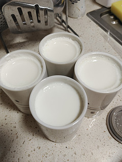 第一次自制酸奶