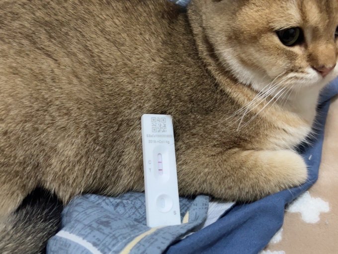 康华生活杂货