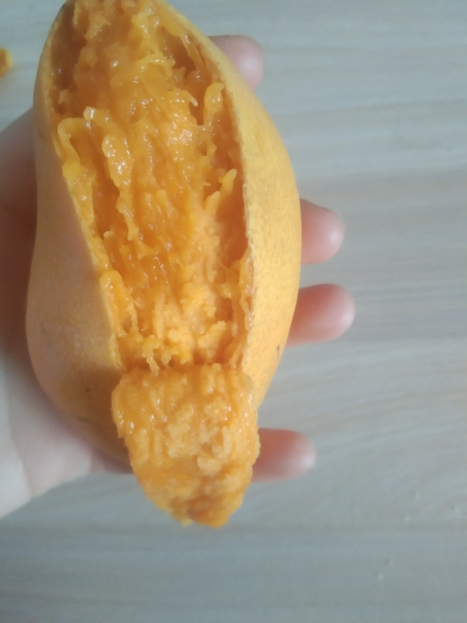 梅珍芒果