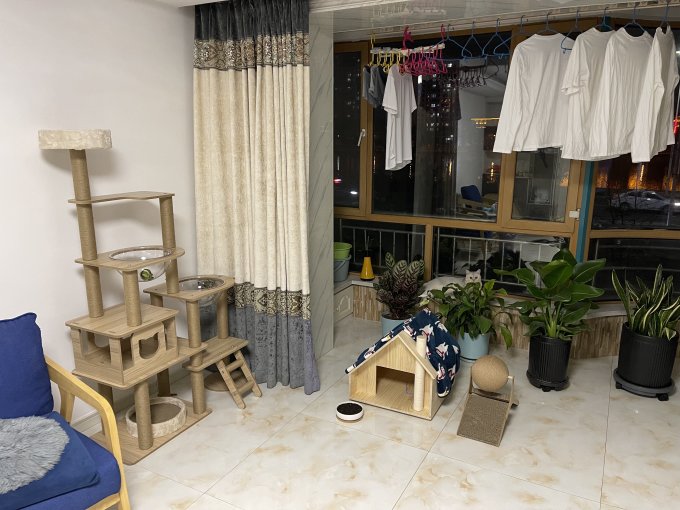 华元宠具猫爬架