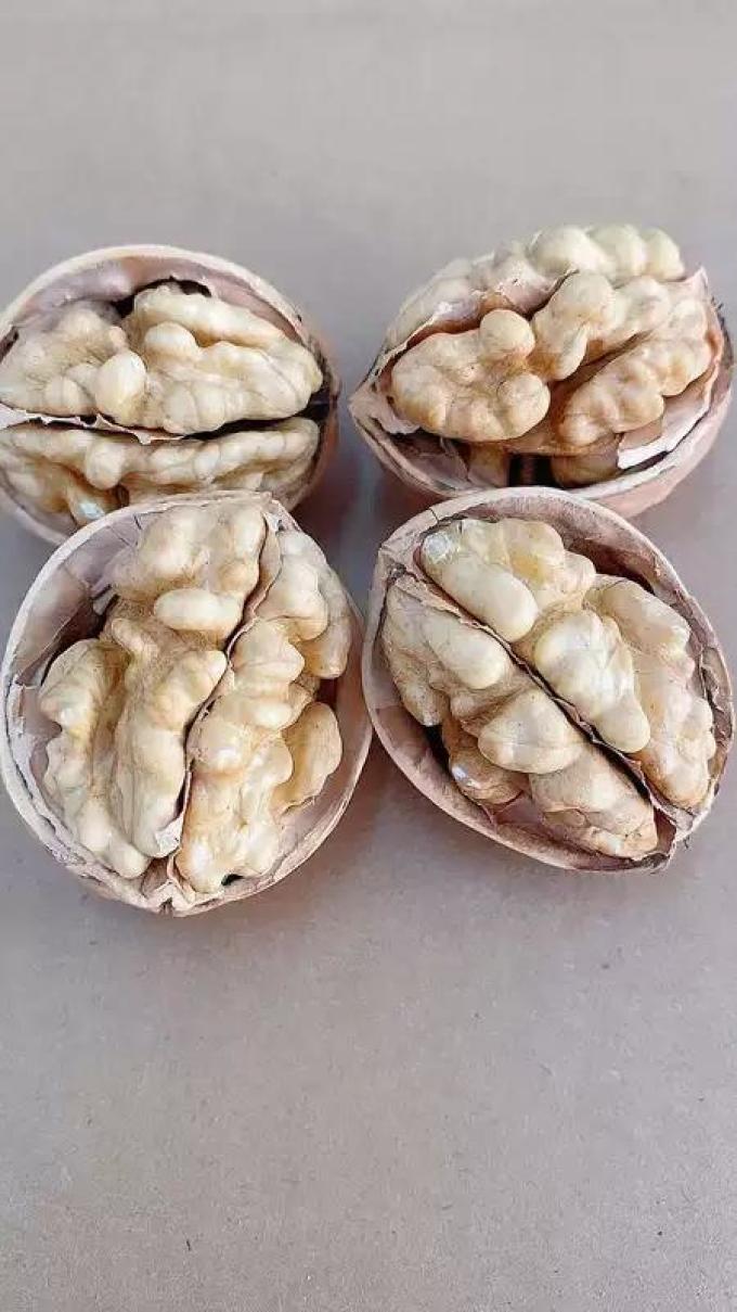 核桃