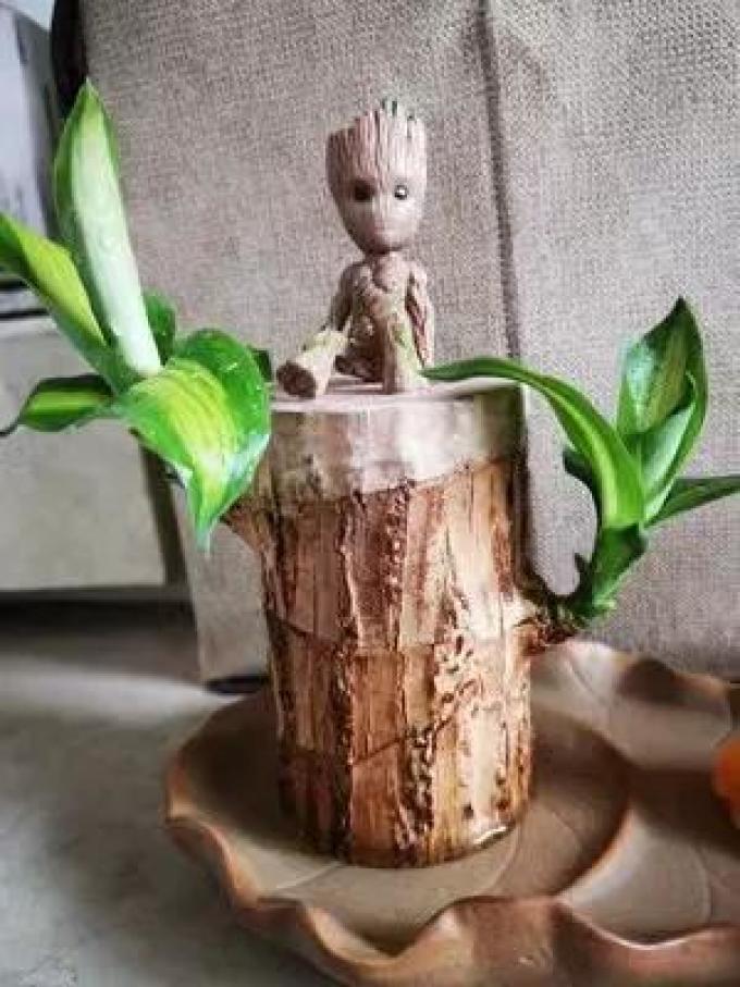 盆栽