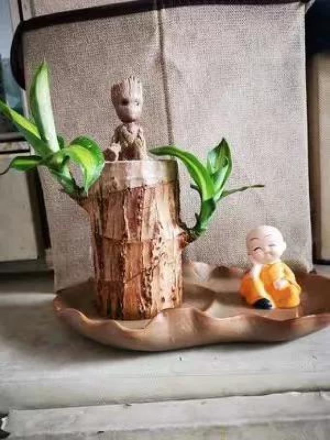 盆栽