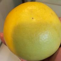 福建平和葡萄柚整箱当季水果蜜柚