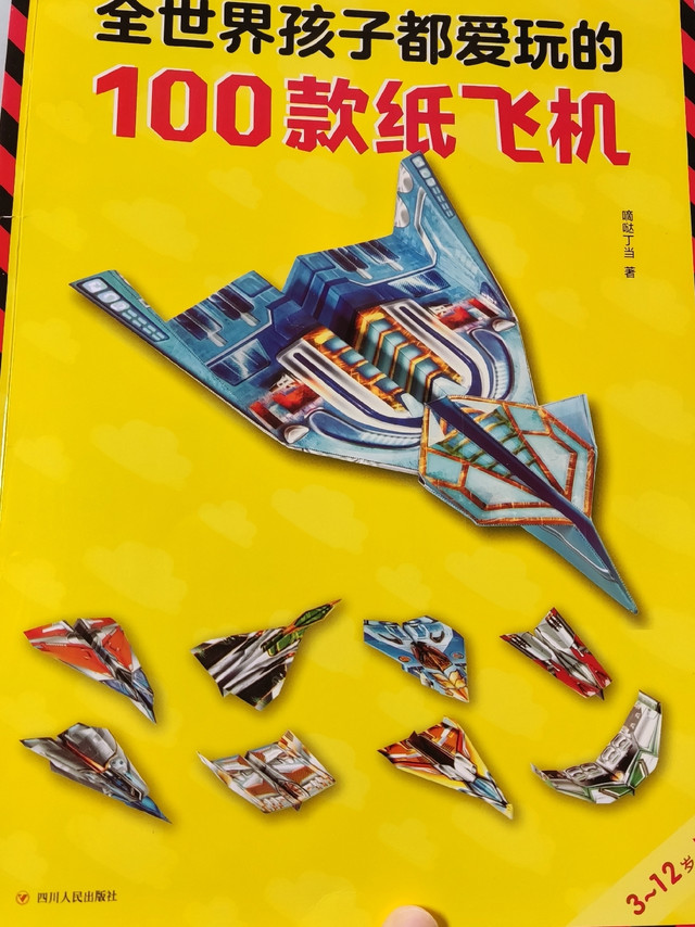 〔亲子共读〕全世界孩子都爱的100款纸飞机