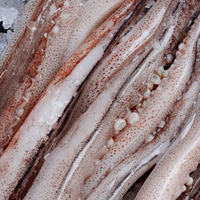 铁板鱿鱼——美味的日本小吃