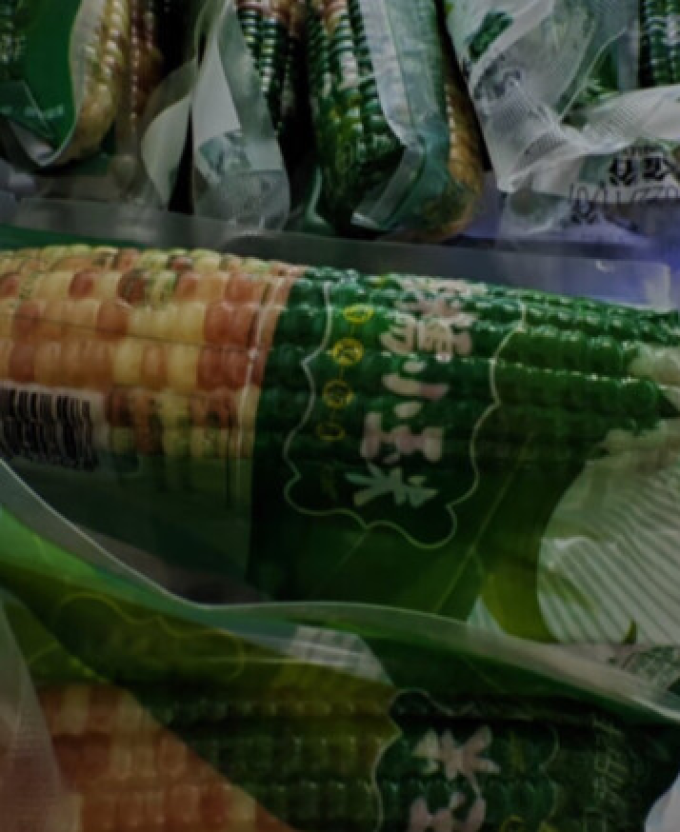 傣萨金谷谷物/杂粮/粥米