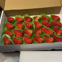 丹东的红颜草莓，今年买的最好的草莓🍓