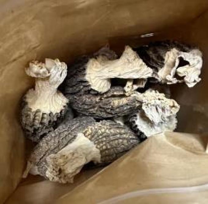 滇味十足南北干货