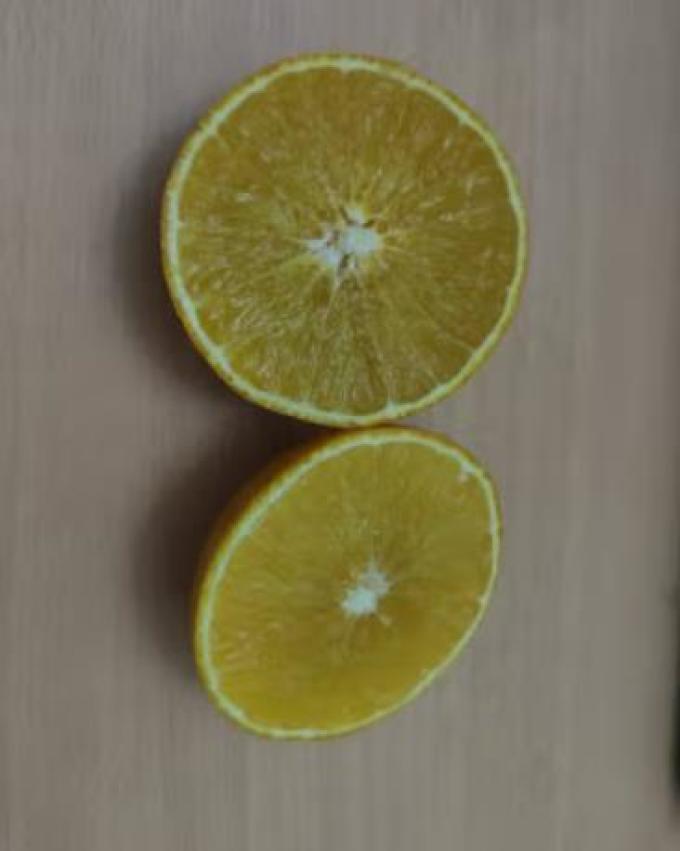 鲜菓篮橙子