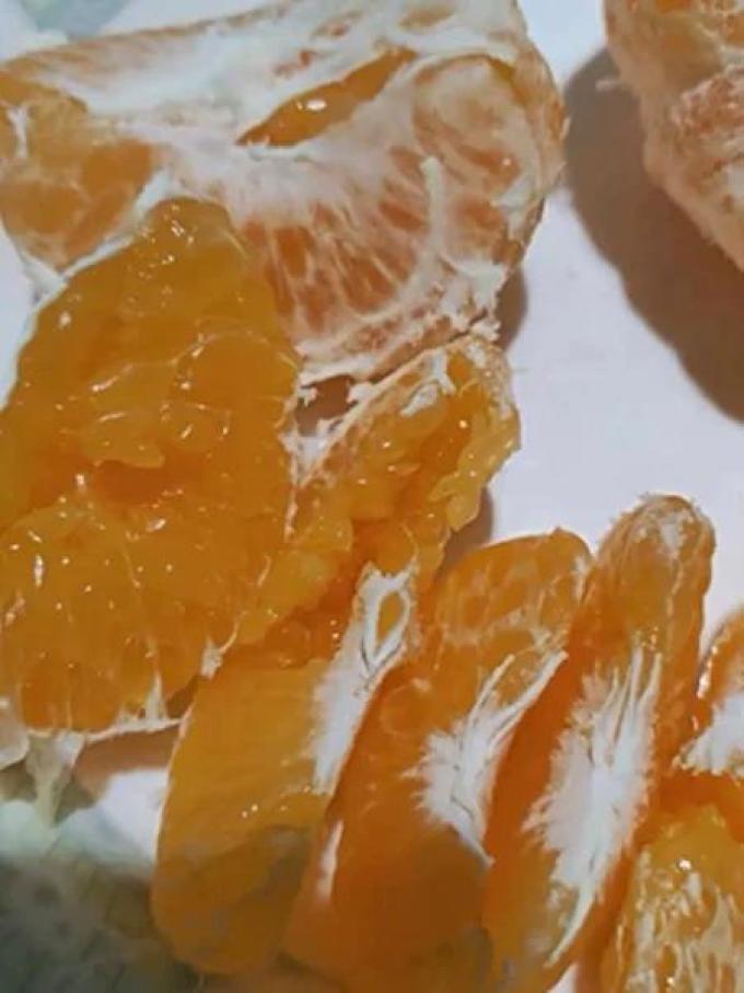 生活＆好管家橘/桔