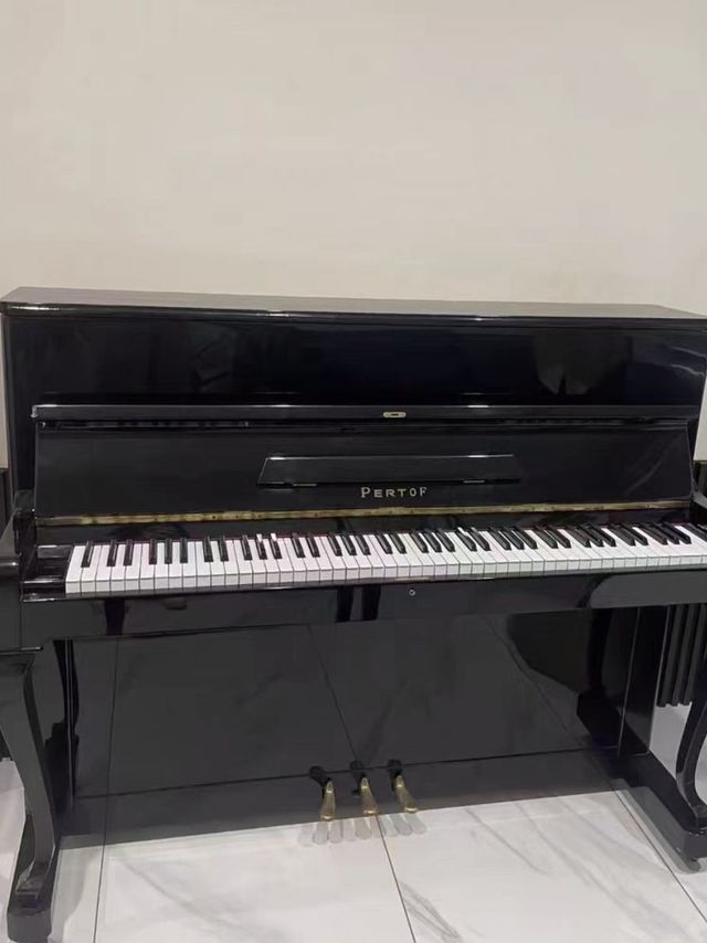 我学会了弹奏乐器