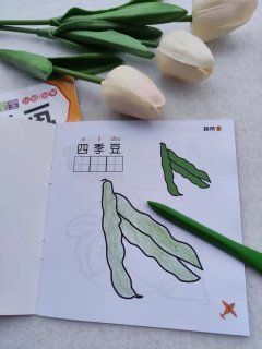不脏手的画笔，真的超级好用呢！