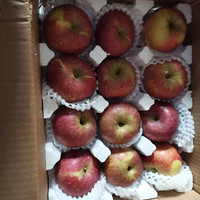 正宗冰糖心苹果水果新鲜当季整箱
