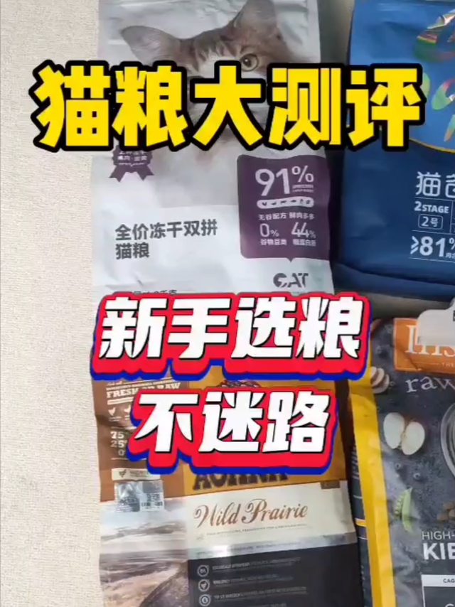 4款猫粮大测评|新手选粮不迷路
