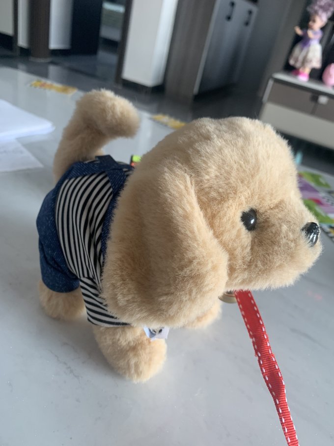 阳光宝贝电动玩具