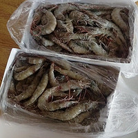 新鲜青岛大虾，虾有虾途生鲜