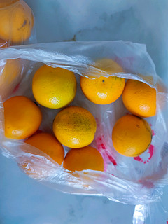吃这么多橙子能不能抗阳！！？